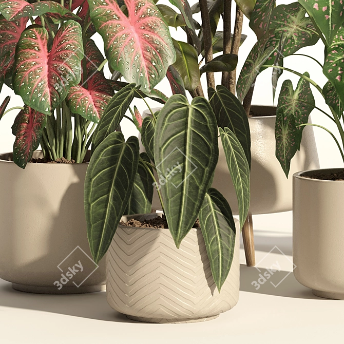 73-Piece Indoor Plant Ceramic Pot 3D model image 4