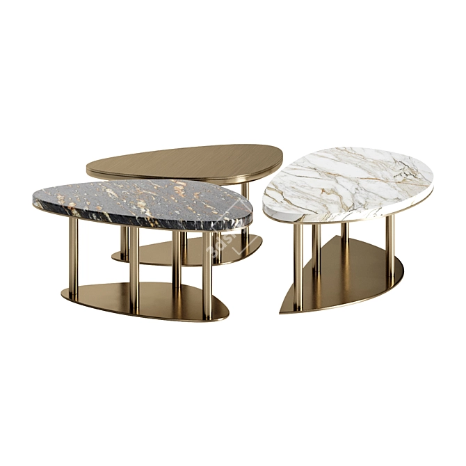 Elegant NINFEA Coffee Tables 3D model image 3