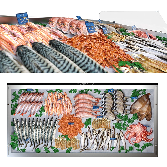 Seafood Showcase Display Stand 3D model image 4