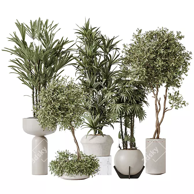 Indoor Plant Set 3D Models 3D model image 1