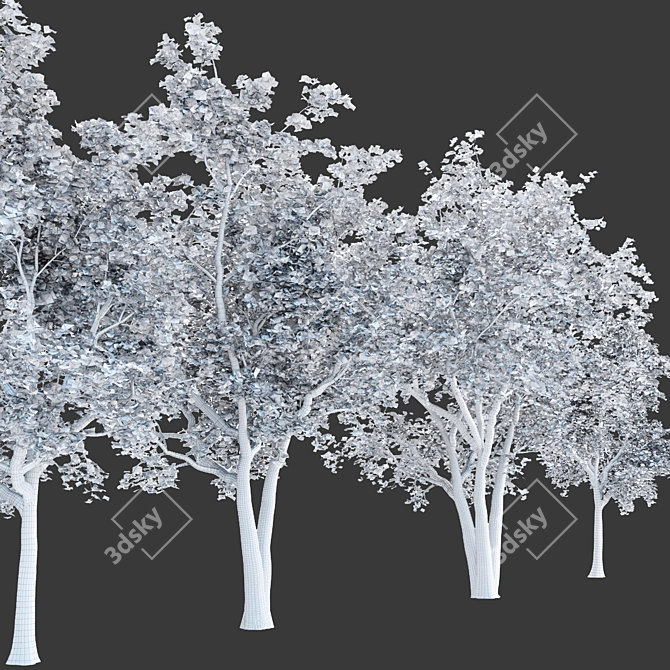 Tree Collection 3D Models Pack 3D model image 7