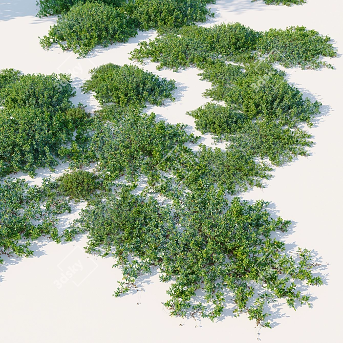 Bog Bilberry Bushes Set-Vray Max 3D model image 2