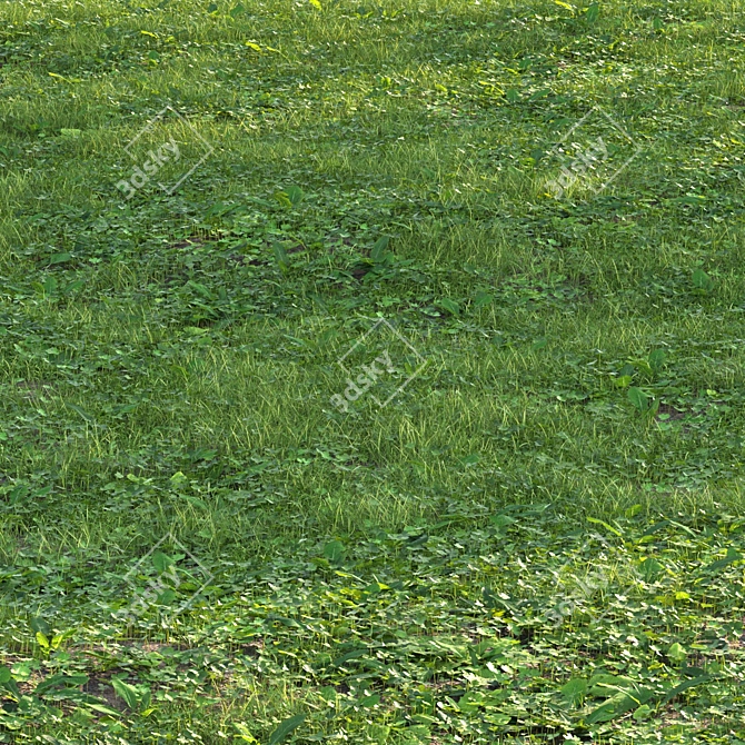 Versatile Grass Scatter Kit 3D model image 2