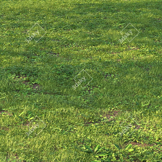 Versatile Grass Scatter Kit 3D model image 3