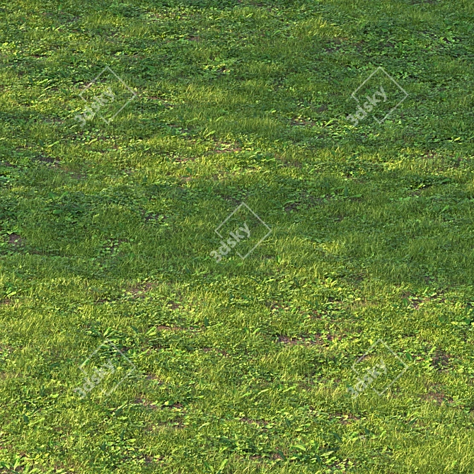 Versatile Grass Scatter Kit 3D model image 4