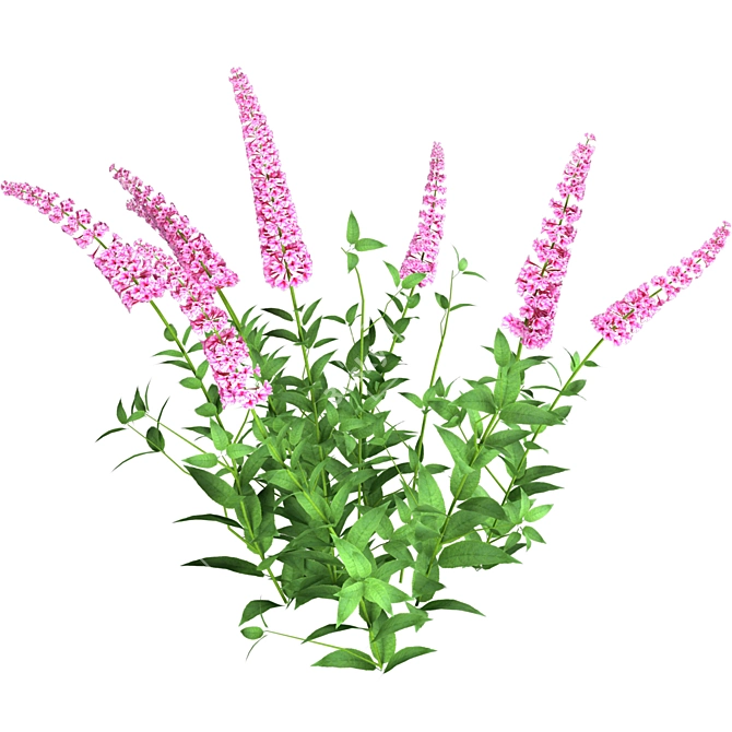 Enchanting Blue Butterfly Bush Set 3D model image 5