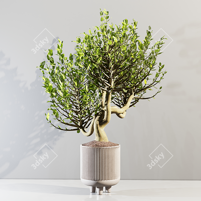 20cm Indoor Plant 3D Model 3D model image 6