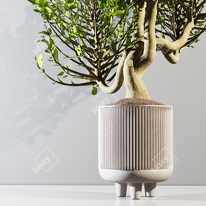 20cm Indoor Plant 3D Model 3D model image 7