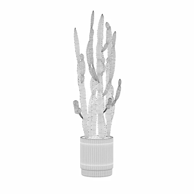 Sculptural Euphorbia Candelabrum 3D Model 3D model image 2