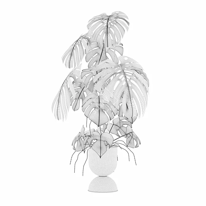 Monstera Plants Collection 3D Model 3D model image 6