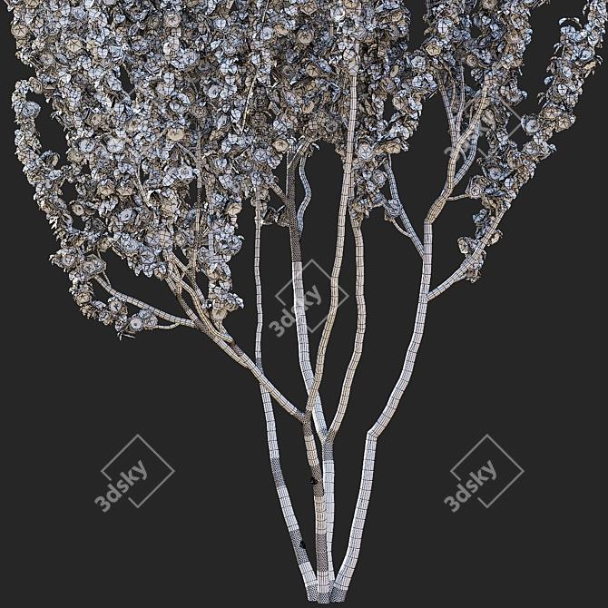 Kanzan Cherry Blossom Multi-Stem 3D model image 6