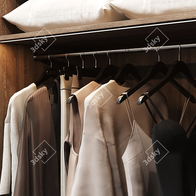 Customizable Wardrobe with Dual Facade Options 3D model image 3