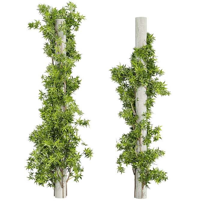 Creeping Ivy Collection Plant Vol562 3D model image 2