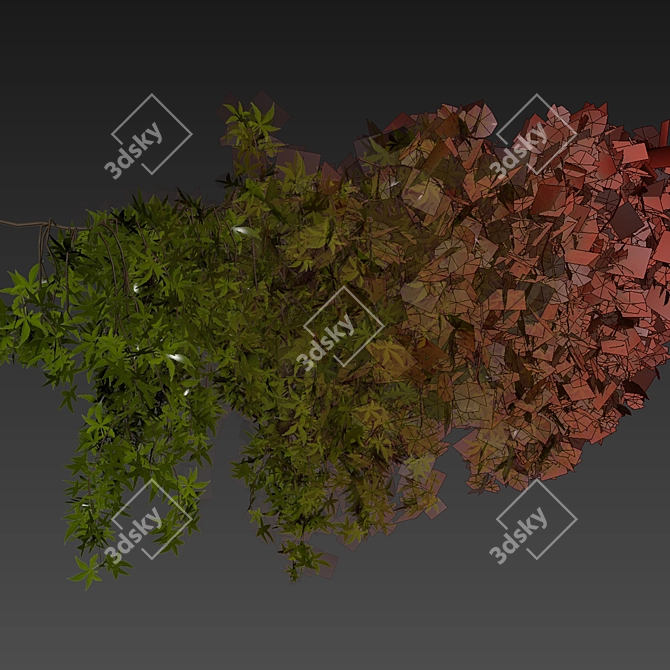 Creeping Ivy Collection Plant Vol562 3D model image 7