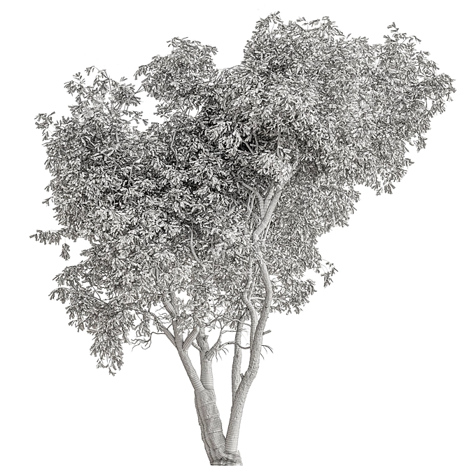 297 Piece Broadleaf Tree Set 3D model image 3