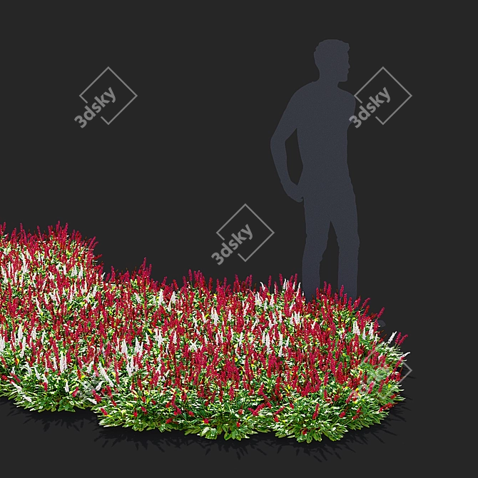  Mountain Kinship Flowers | Bistorta affinis 3D model image 2