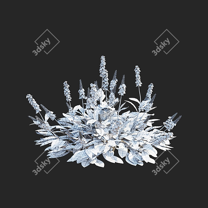  Mountain Kinship Flowers | Bistorta affinis 3D model image 5