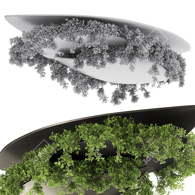 Premium Hanging Plant Set 21 3D model image 4