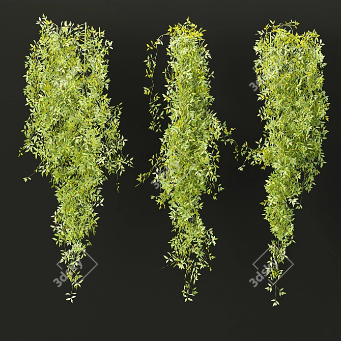  PBR Hanging Plants Collection Vol. 248 3D model image 2