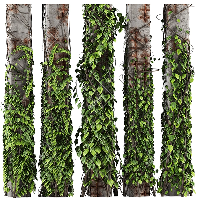 Ivy Plant Decor Set 3D model image 2