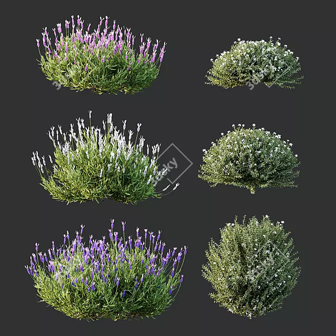  Spring Blossom 3D Models Bundle 3D model image 1