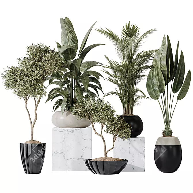 10 Indoor Plant Set Diversity 3D model image 1