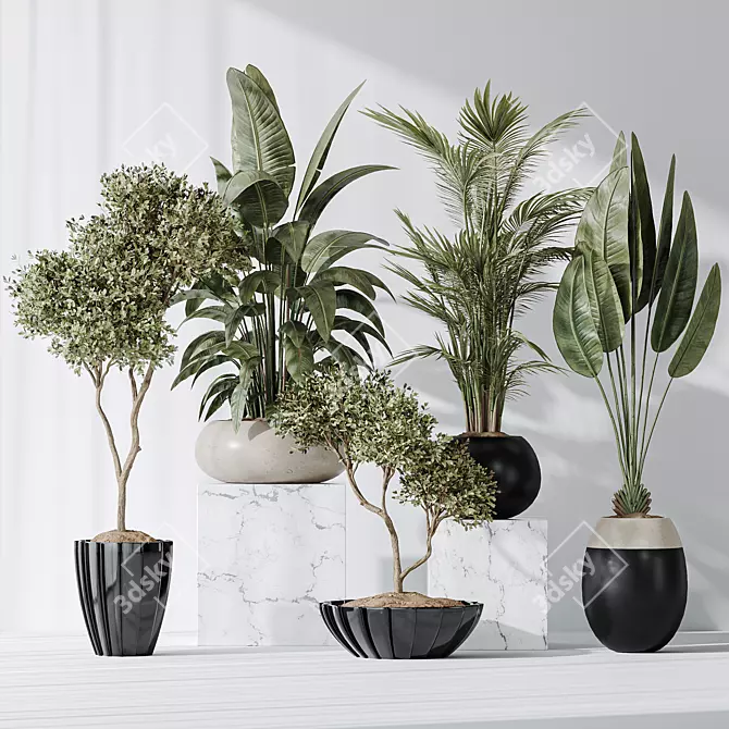 10 Indoor Plant Set Diversity 3D model image 2