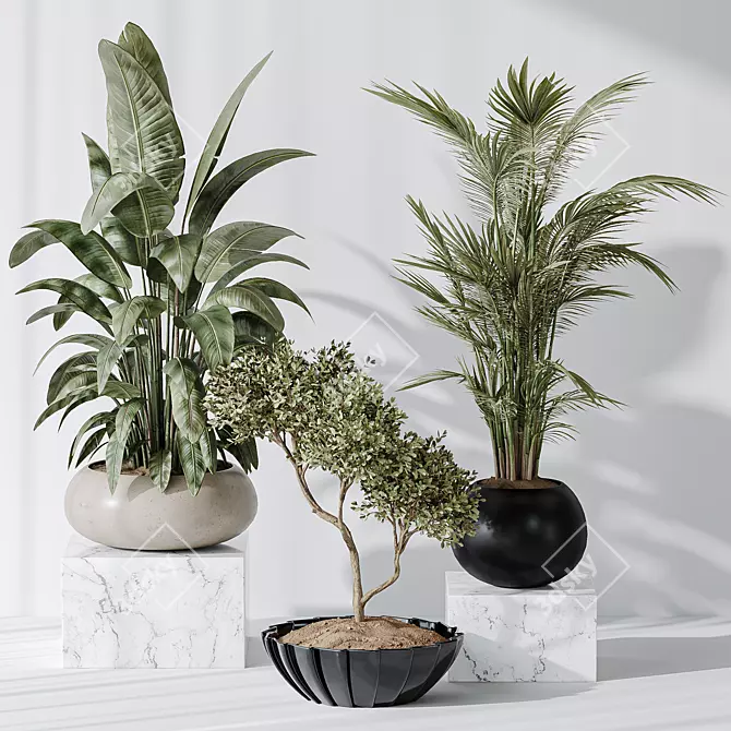 10 Indoor Plant Set Diversity 3D model image 3