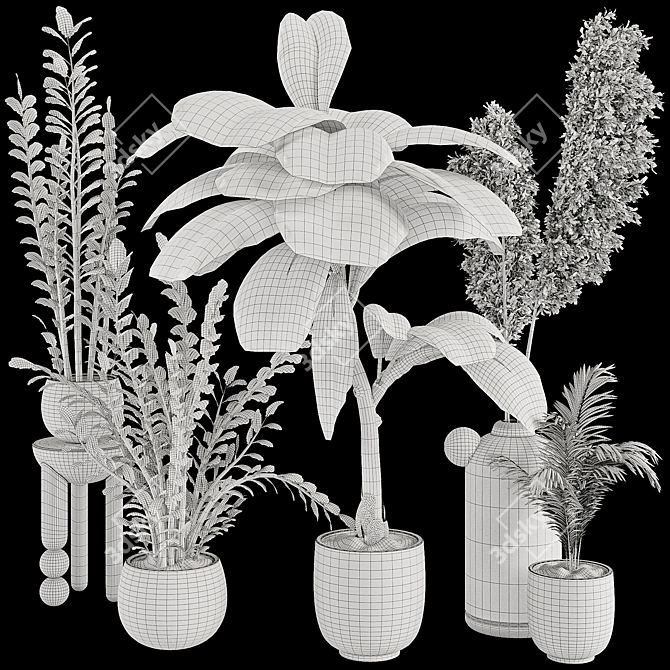 Tropical Plant Collection 3D Models 3D model image 7