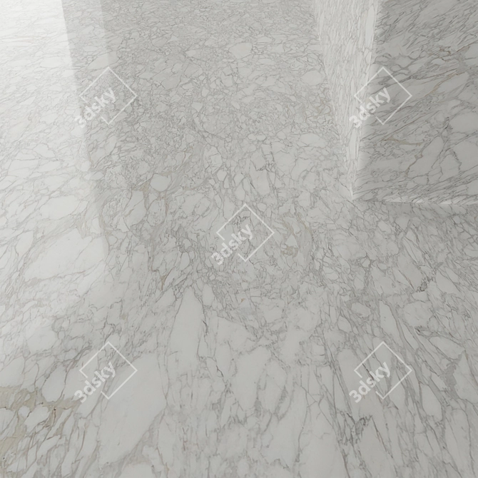 Marble Tile 3D Model Texture 3D model image 5