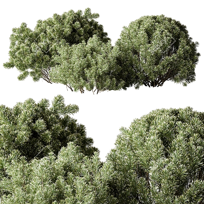 Versatile Greenery Mix 136 3D model image 1