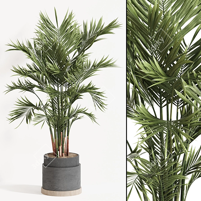 Modern Indoor Plant Set 061 3D model image 1