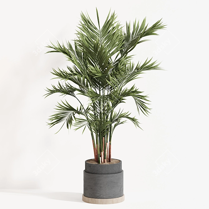 Modern Indoor Plant Set 061 3D model image 2