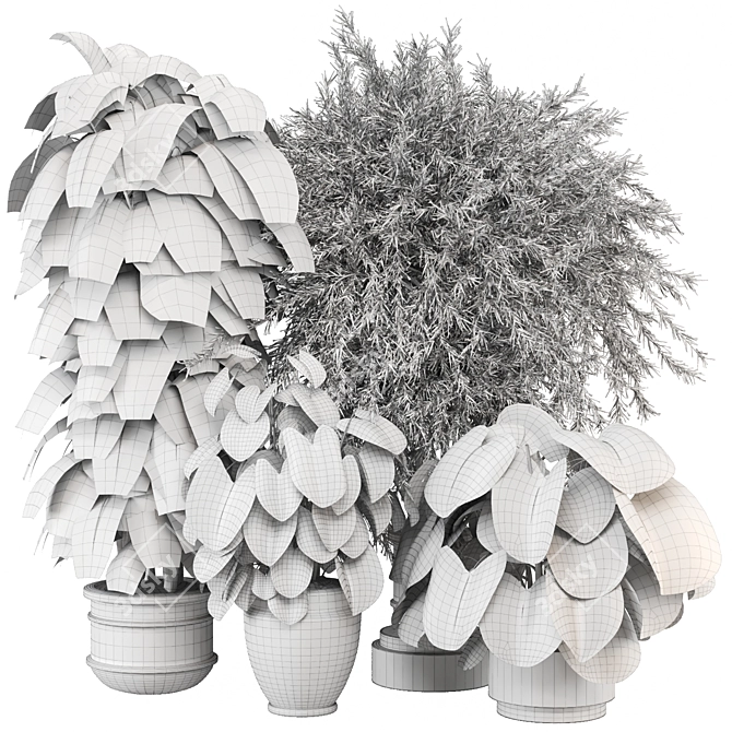 Modern Indoor Plants Collection Set 3D model image 6