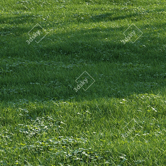 Scatter Grass Kit for Vray 3D model image 1