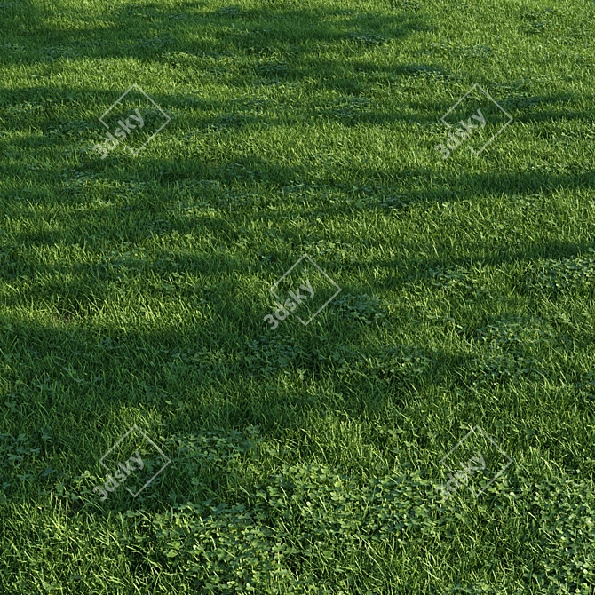 Scatter Grass Kit for Vray 3D model image 2