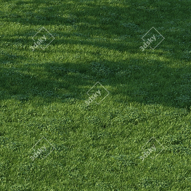 Scatter Grass Kit for Vray 3D model image 3