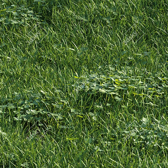 Scatter Grass Kit for Vray 3D model image 4