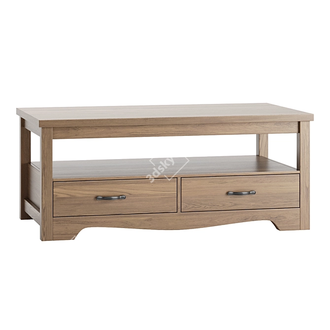 Modern Hulett Coffee Table Storage 3D model image 3