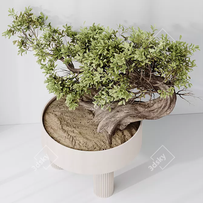 Modern Indoor Plant Set Collection 3D model image 3