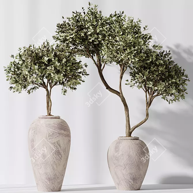 Modern Indoor Plant Set Collection 3D model image 4