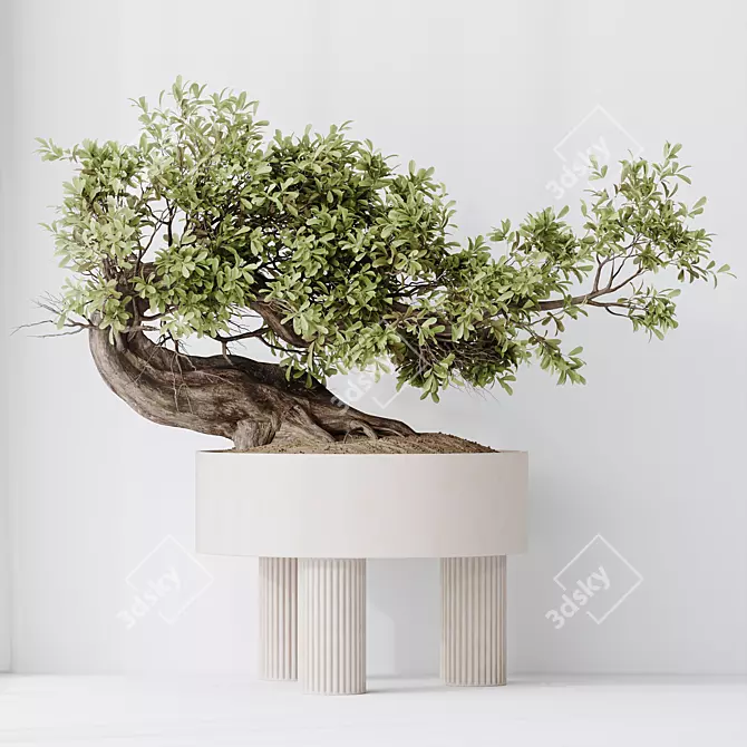 Modern Indoor Plant Set Collection 3D model image 6