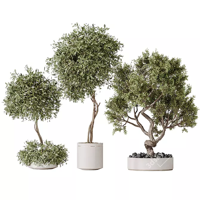 Modern Indoor Plant Variety Set 3D model image 1