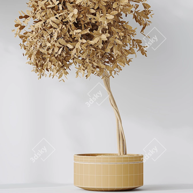 Modern Indoor Plant Variety Set 3D model image 6