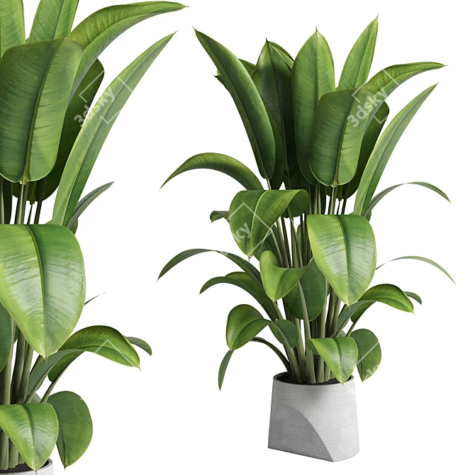 Title: Rubber Ficus in Concrete Vase 3D model image 1