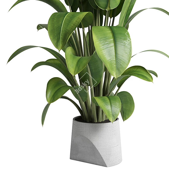 Title: Rubber Ficus in Concrete Vase 3D model image 2