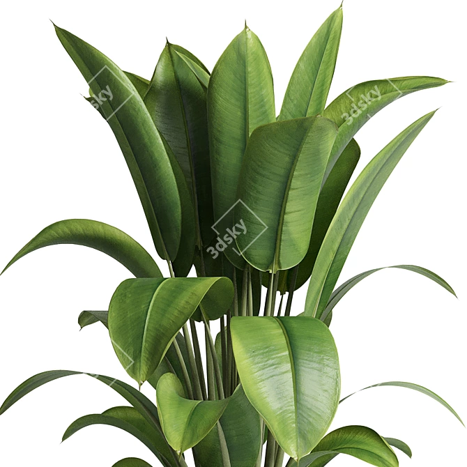 Title: Rubber Ficus in Concrete Vase 3D model image 3