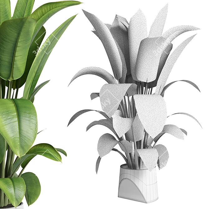 Title: Rubber Ficus in Concrete Vase 3D model image 4