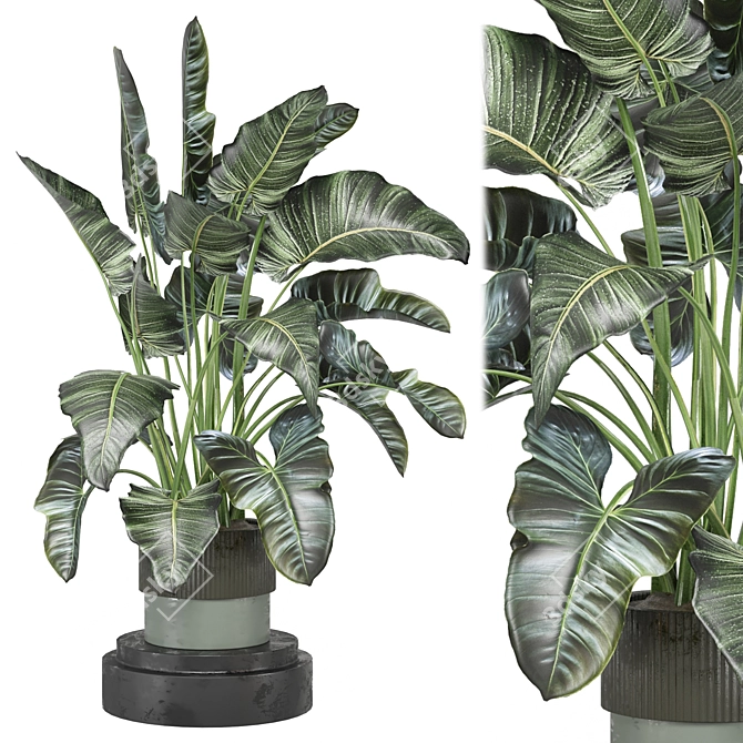 Indoor Greenery Collection - Set 1222 3D model image 1