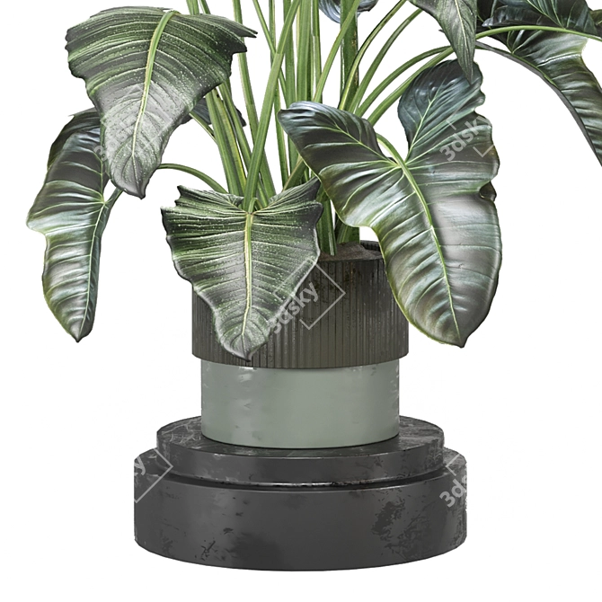 Indoor Greenery Collection - Set 1222 3D model image 2